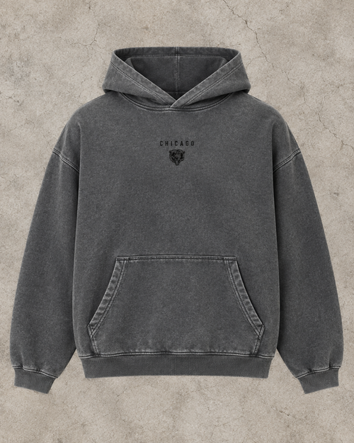 bears Greyline hoodie front