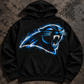 PANTHERS Paint the Town Hoodie