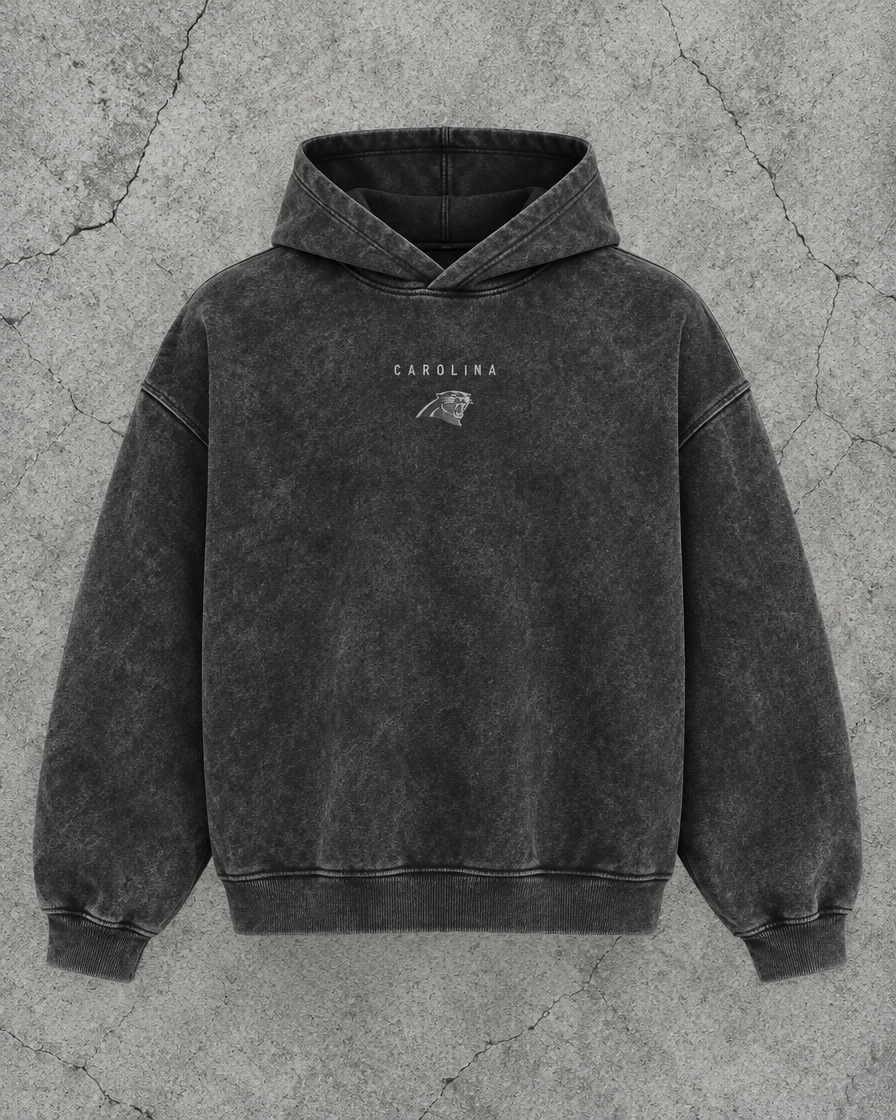 panthers Greyline hoodie front