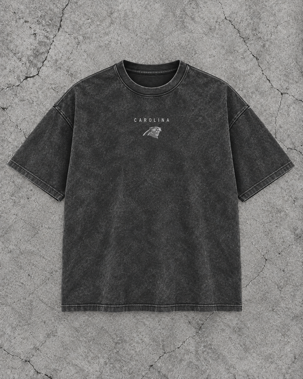 PANTHERS GREYLINE TEE front