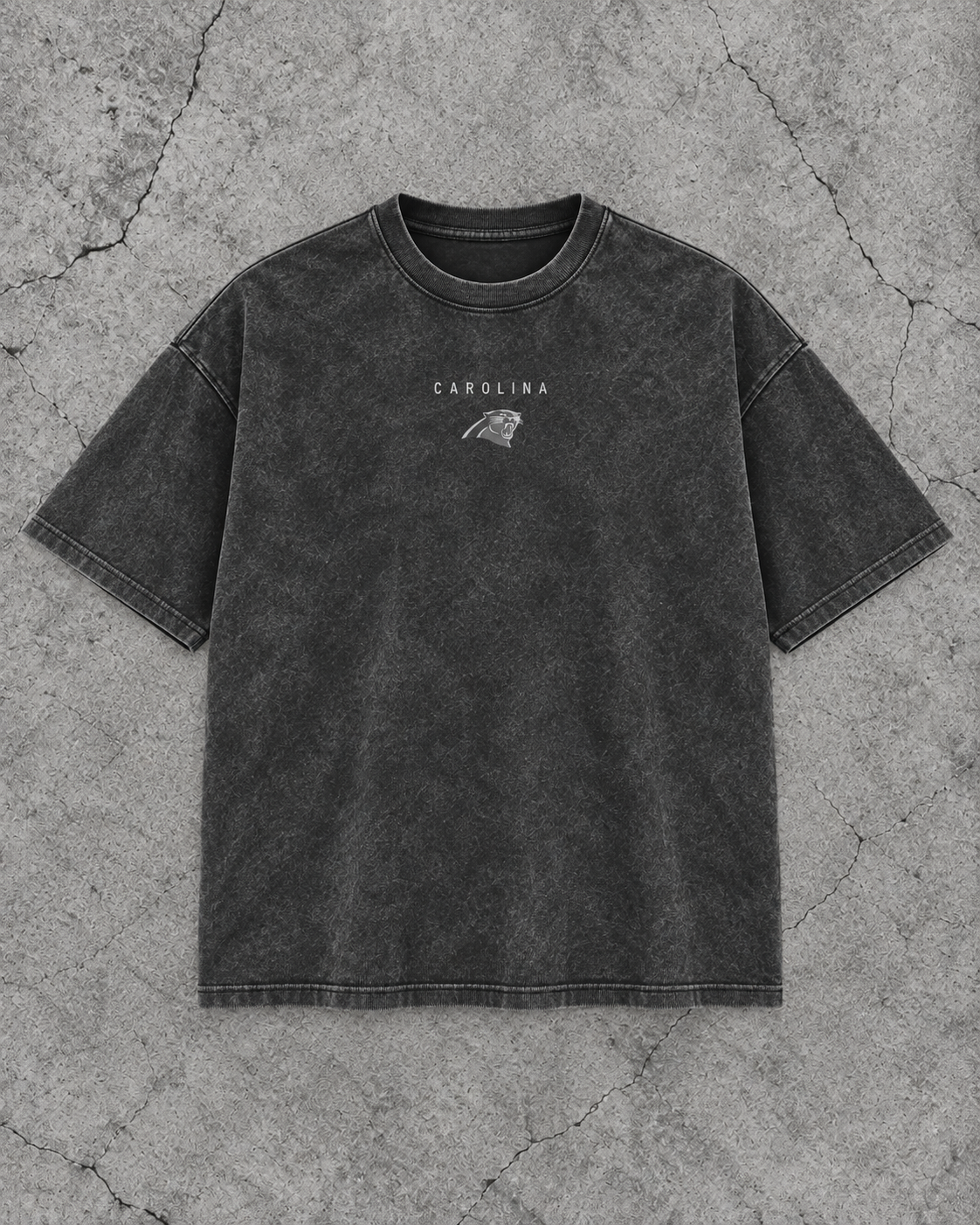 PANTHERS GREYLINE TEE front