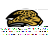 Jaguars